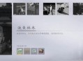 燕云十六声池鱼林木任务攻略分享