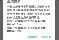极瞳帧率大师