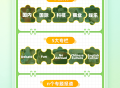 小树分级
