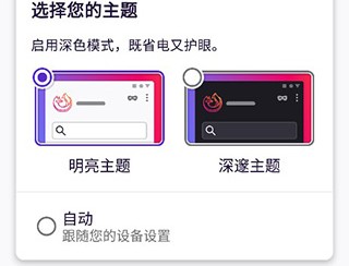 Iceraven浏览器免费版
