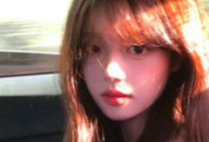 杏花秀
