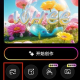 WHEE免费版