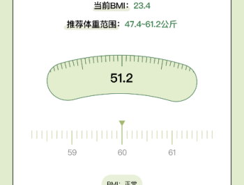 爱伴体重精灵