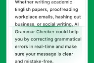 AI Grammar正版