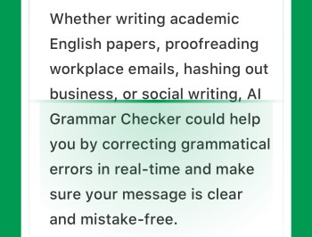 AI Grammar正版