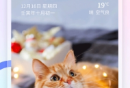 番茄来电秀免费版