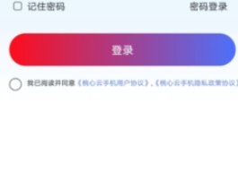 桃心云手机专业版