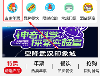 亲子年票