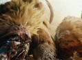 怪物猎人荒野全大型怪物解锁方法分享