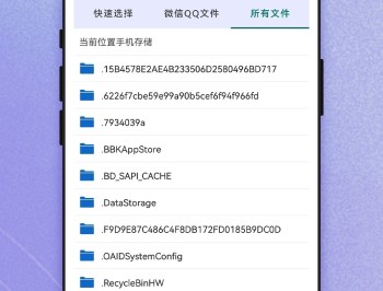 Word编辑大师