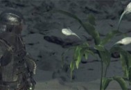 怪物猎人荒野一夜花的月华粉获取方法