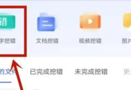 挖错网