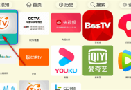油桃TV