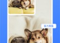 酷雀AI抠图