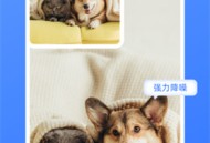 酷雀AI抠图