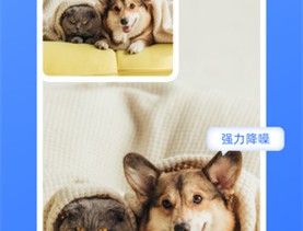 酷雀AI抠图