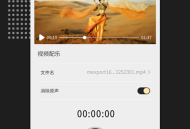 视频格式转换王