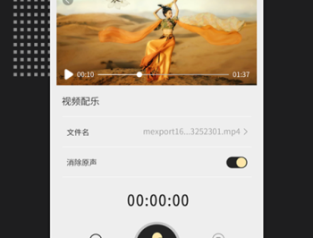 视频格式转换王
