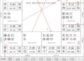 文墨天机专业版