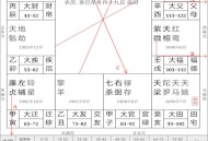 文墨天机专业版