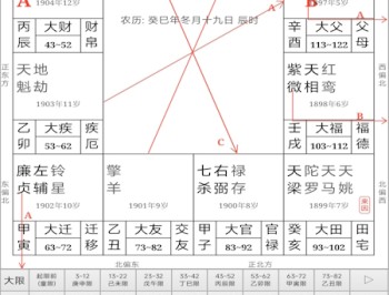 文墨天机专业版