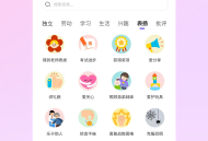 星目标