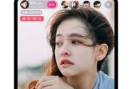 菠萝直播视频