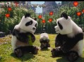《我的世界》电影新预告片发布 方形大熊猫还原度拉满
