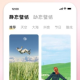 指尖桌面主题