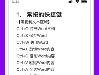 Wrod文档