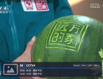 嘉庆TV