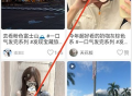 菜菜计划自律打卡