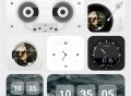 OneWidget