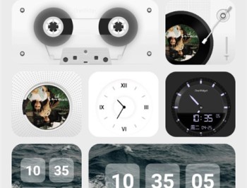 OneWidget