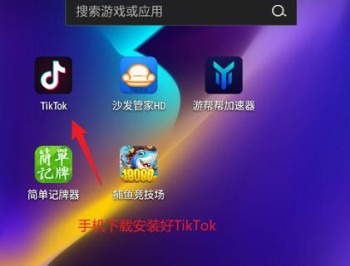TikTok海外版