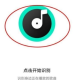 q音探歌识别歌曲