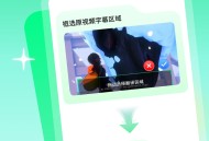 视频翻译器