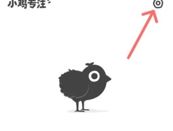 小鸡专注学习