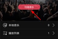 飞傲音乐正版