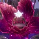 无限暖暖天星之羽获取方法及位置分享