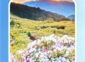 全能放大镜