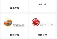 手机电视直播TV