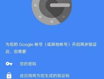 谷歌验证器