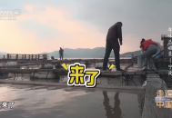网络电视