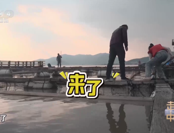 网络电视