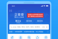企业征信查询