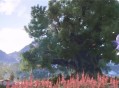 无限暖暖提包鱼获取位置分享