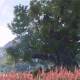 无限暖暖提包鱼获取位置分享