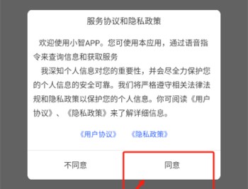 小智