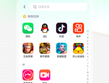 应用隐藏伪装专家